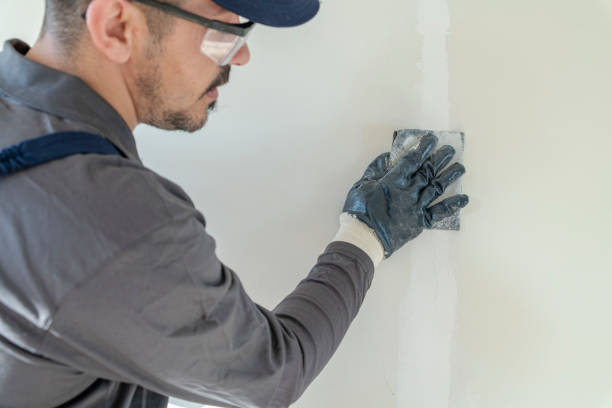 Best Water-Damaged Drywall Repair  in USA